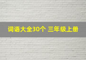 词语大全30个 三年级上册